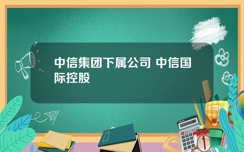 中信集团下属公司 中信国际控股